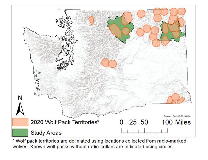 Washington wolf pack map