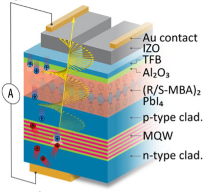 Schematic of spin-LED