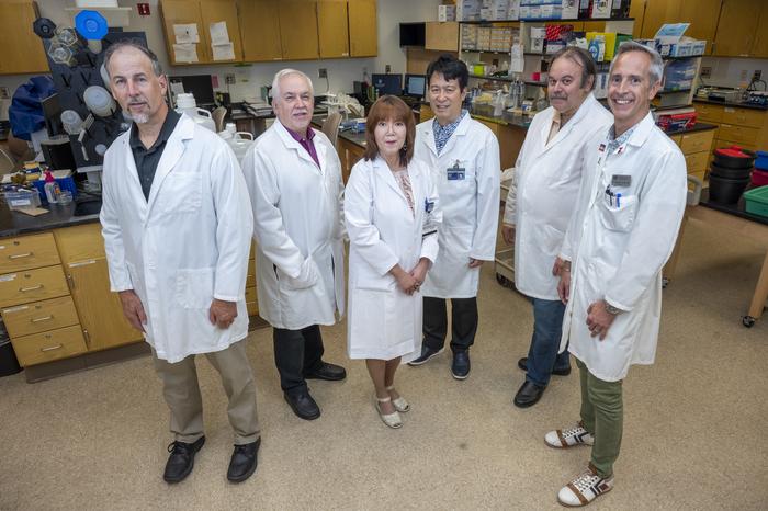 $11.3 million Program Project grant helping identify causes of vascular disease