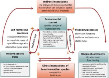 Mechanisms determine plant invasion impact.