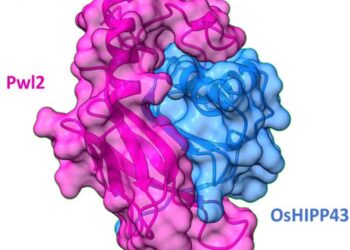 Figure 1 - The crystal structure