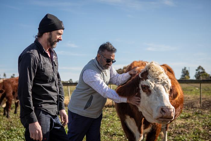 Farmer and researcher with cattle on an Australian farm