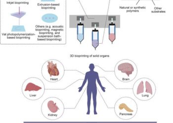 3D bioprinting of solid organs