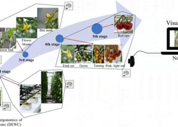 AI-assisted multi-task remote monitoring system for tomatoes