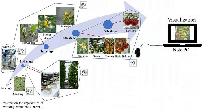 AI-assisted multi-task remote monitoring system for tomatoes