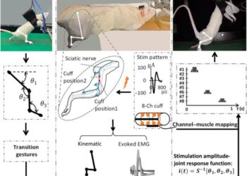 Experimental setup and design.