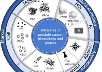 Table of Contents (TOC) diagram of the synthesis