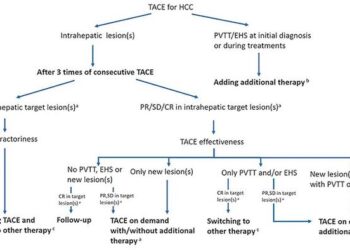 Chinese Medical Journal study reframes guidelines for transarterial chemoembolization refractoriness