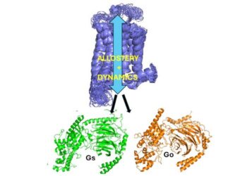 Figure 1.GPCR dynamics