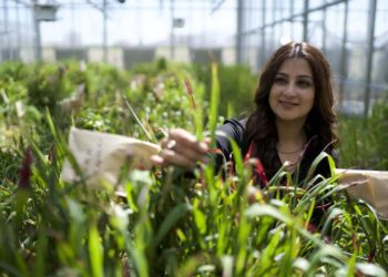 Danforth Center Assistant Member Nadia Shakoor, PhD