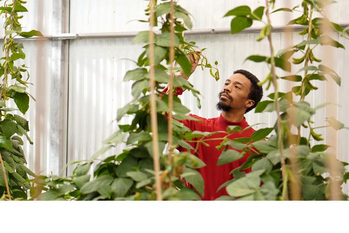 Kevin Cox, PhD, Donald Danforth Plant Science Center Assistant Member