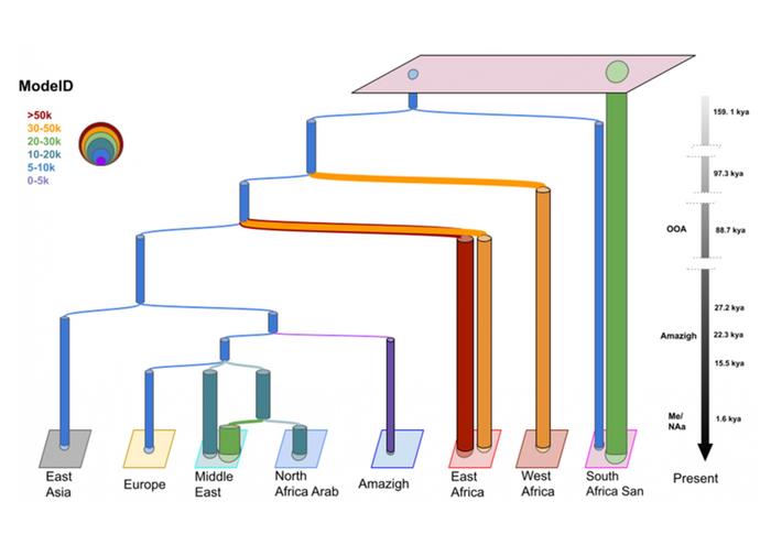 Demographic model of North African populations obtained with the GP4PG algorithm