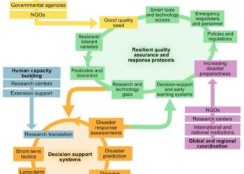 Key recommendations in disaster plant pathology