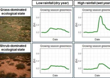 Comparison of dryland ecological states.