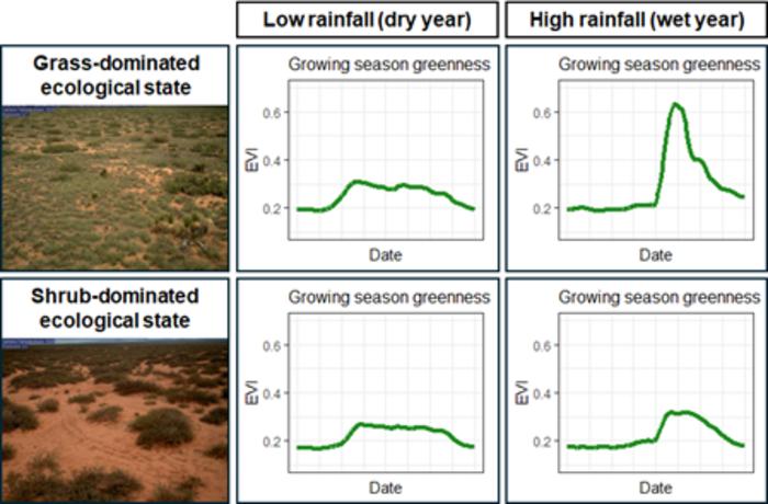 Comparison of dryland ecological states.