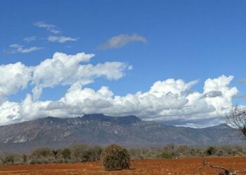 Forest loss intensifies climate change by increasing temperatures and cloud level, which leads to decrease of water