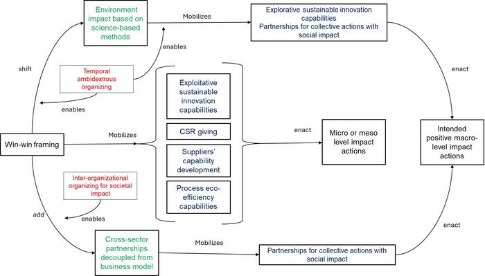 Process framework on how sustainability framing shapes the enactment of actions with social or environmental macro-level impact.