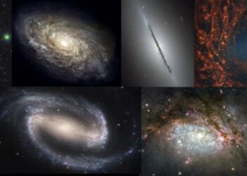 Different shapes of galaxies