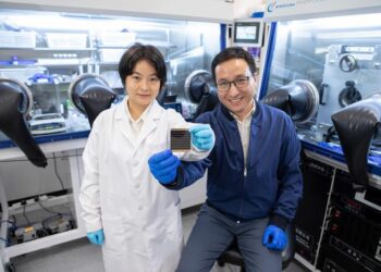 Prof. ZHOU Yuanyuan (right) and Dr. DUAN Tianwei (left) holding their newly developed perovskite solar cell.