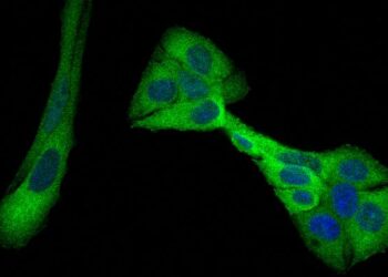 How breast cancer goes hungry