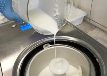 The use of mare’s milk for yogurt ice cream and synbiotic ice cream production