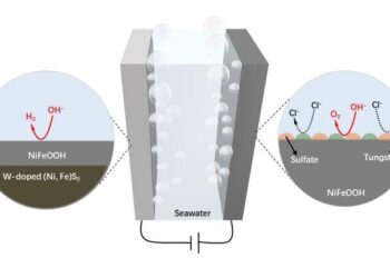 Scheme of the self-reconstructed stable and active surface on carbonized wood electrodes for seawater electrolysis.