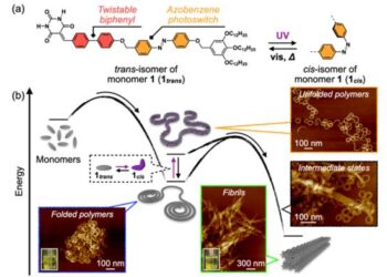 Exploring Interchain Aggregation in Folded Supramolecular Polymers
