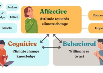 Conceptual framework for the survey.