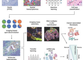 A novel computational pipeline