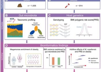 BGI Genomics Gut Microbiota link to Obesity