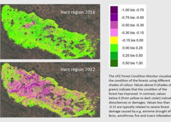 forest condition monitor