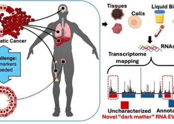 Researchers Discover Novel Nanoparticles in Blood With Potential to Transform Cancer Diagnosis