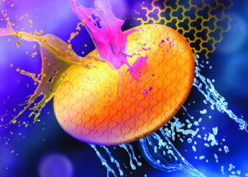 Enhancing Water Filtration with Dual-Faced COF Membranes