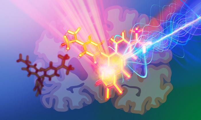 New photoacoustic probes enable deep brain tissue imaging