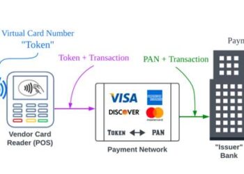 Digital wallet environment