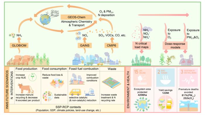 An integrated modeling framework evaluates how ambitious nitrogen interventions can reduce ammonia and nitrogen emissions