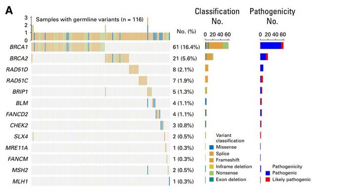 BGI Genomics Targetable Ovarian Cancer Variants RAD51D Found