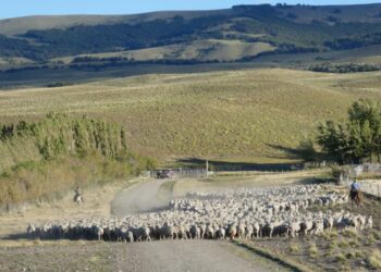 Plants show surprising diversity in arid landscape