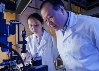 PolyU scientists harness quantum microprocessor chips for revolutionary molecular spectroscopy simulation