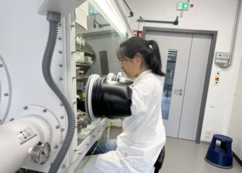 Yunru Chen sets up incubations in the lab to further study the interactions among iron minerals, organic matter and microorganisms in marine sediments.