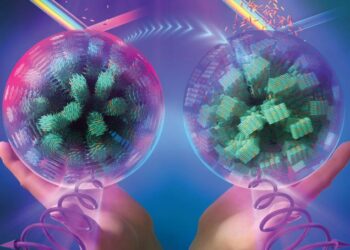 Preventing counterfeiting by adding dye to liquid crystals to create
