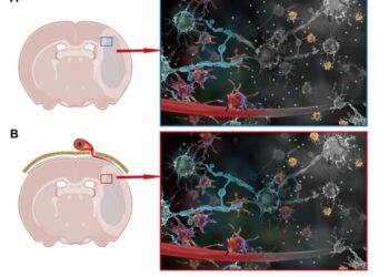 Schematic Representation of the Mechanism of Ischemic Stroke Treatment with m-EAI