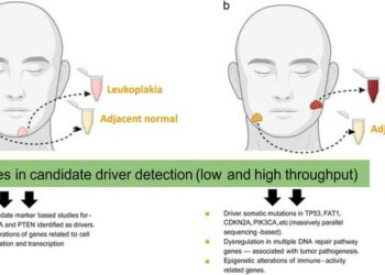Progression of Oral Leukoplakia to Cancer