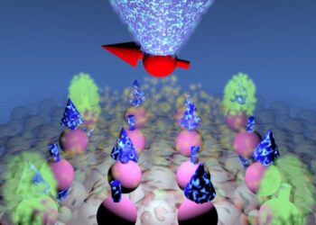 Creation of a higher-order topological magnet