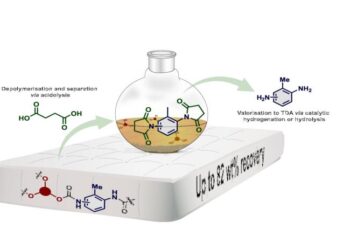 Acidolysis graphical abstract