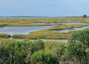 Key data found in coastal oceans