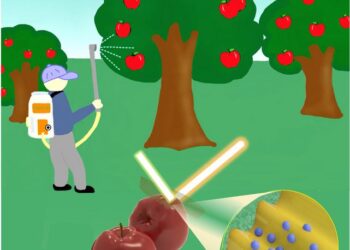 Researchers show pesticide contamination is more than apple skin deep