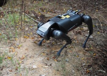 Researchers use AI and robot dog to combat invasive fire