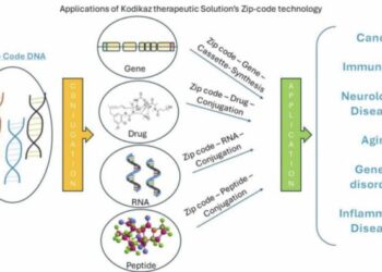Unveiling retrotransposon-derived DNA zip code for myeloma cell internalization