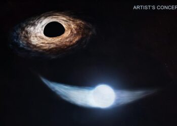 Star shedding stellar debris as it orbits a supermassive black hole